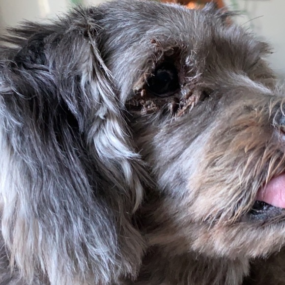 Meet your Posher, Yadira - Picture 1 of 1